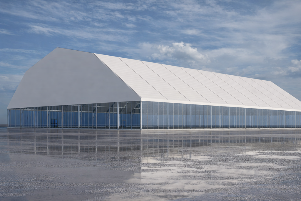 chatgpt image feb 13, 2026, 08 24 02 pm